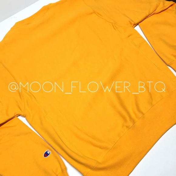 Champion Reverse Weave Crew Neck Sweatshirt - Picture 10 of 14